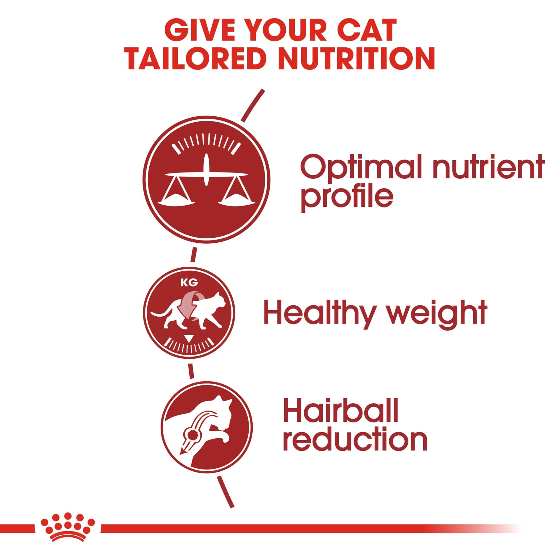 Royal Canin Feline Health Nutrition Fit Cat Food (2 kg)