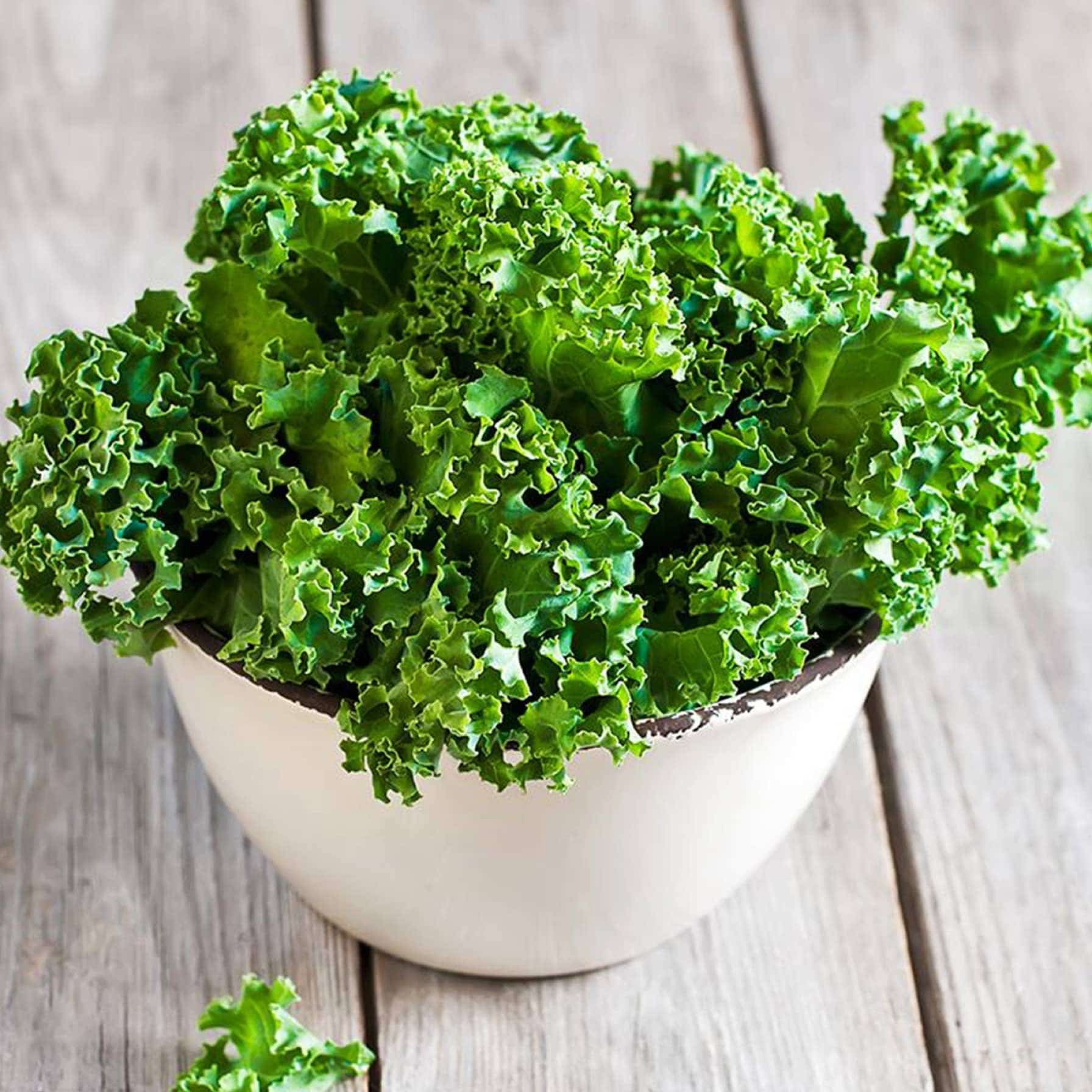 De Ree Curly Kale Westland Autumn Seeds