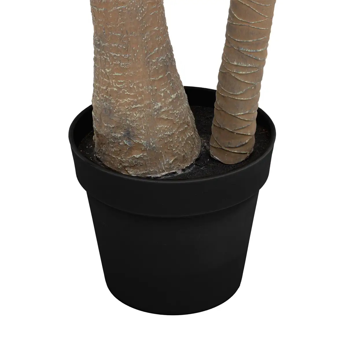 Atmosphera Tropical Boudoir 2-Trunk Palm Tree with Pot (H. 180 cm)