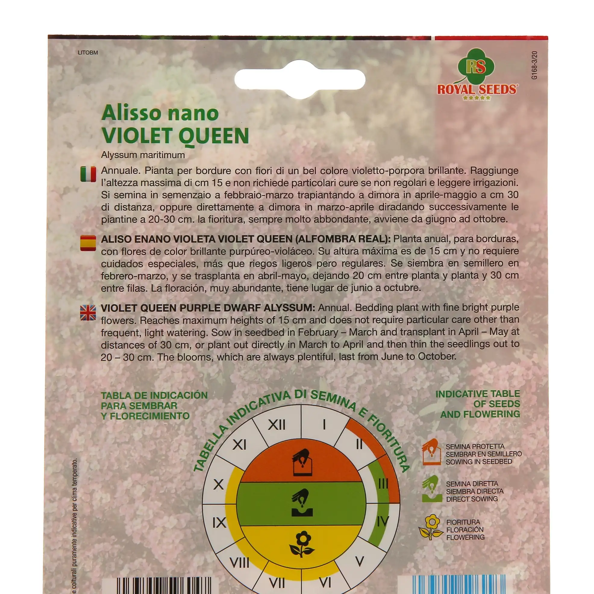 Royal Seeds Alyssum Dwarf Violet Queen Seed Pack