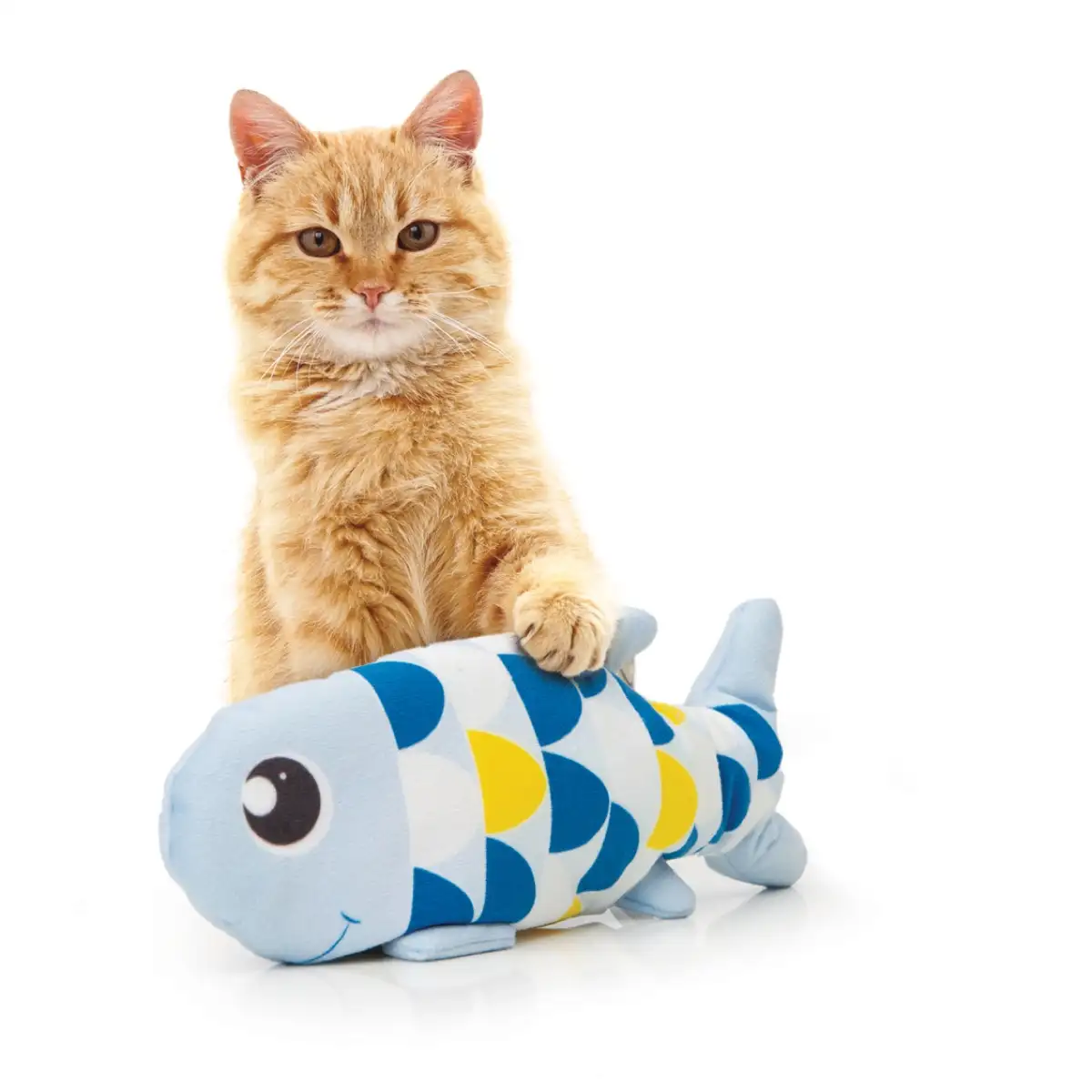 Catit Groovy Fish Motion Sensor Cat Toy (Blue, 27 x 4.5 x 14.5 cm)