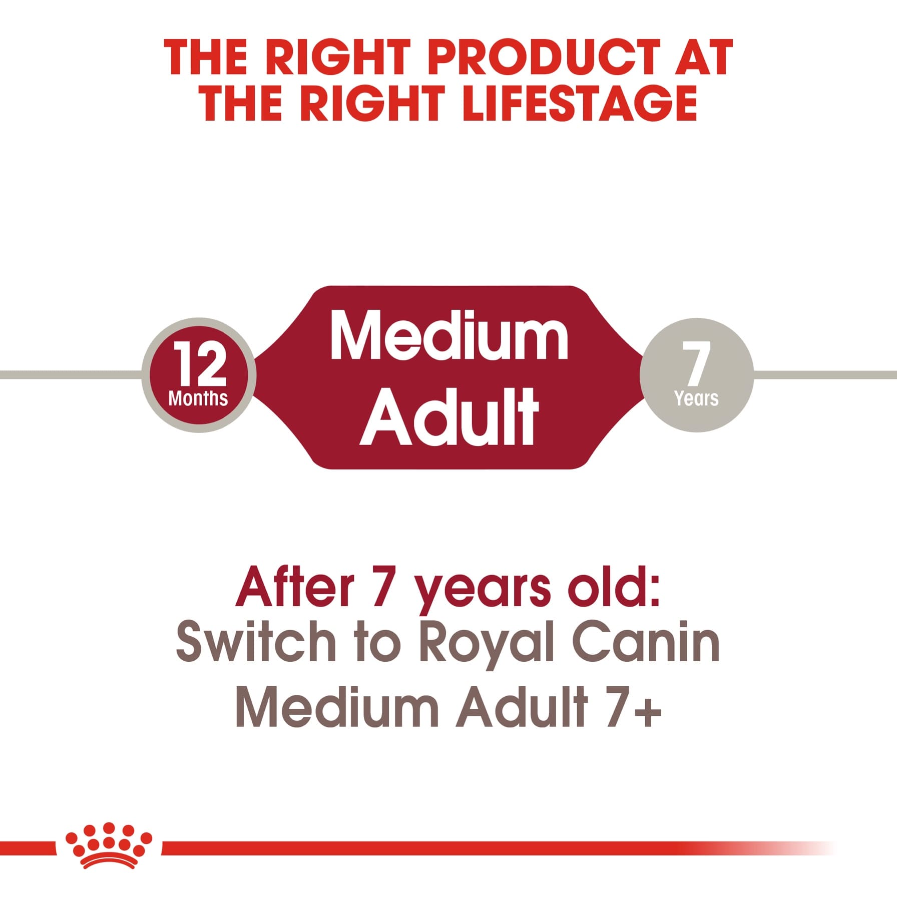 Royal Canin Medium Adult Dog Food (15 kg)