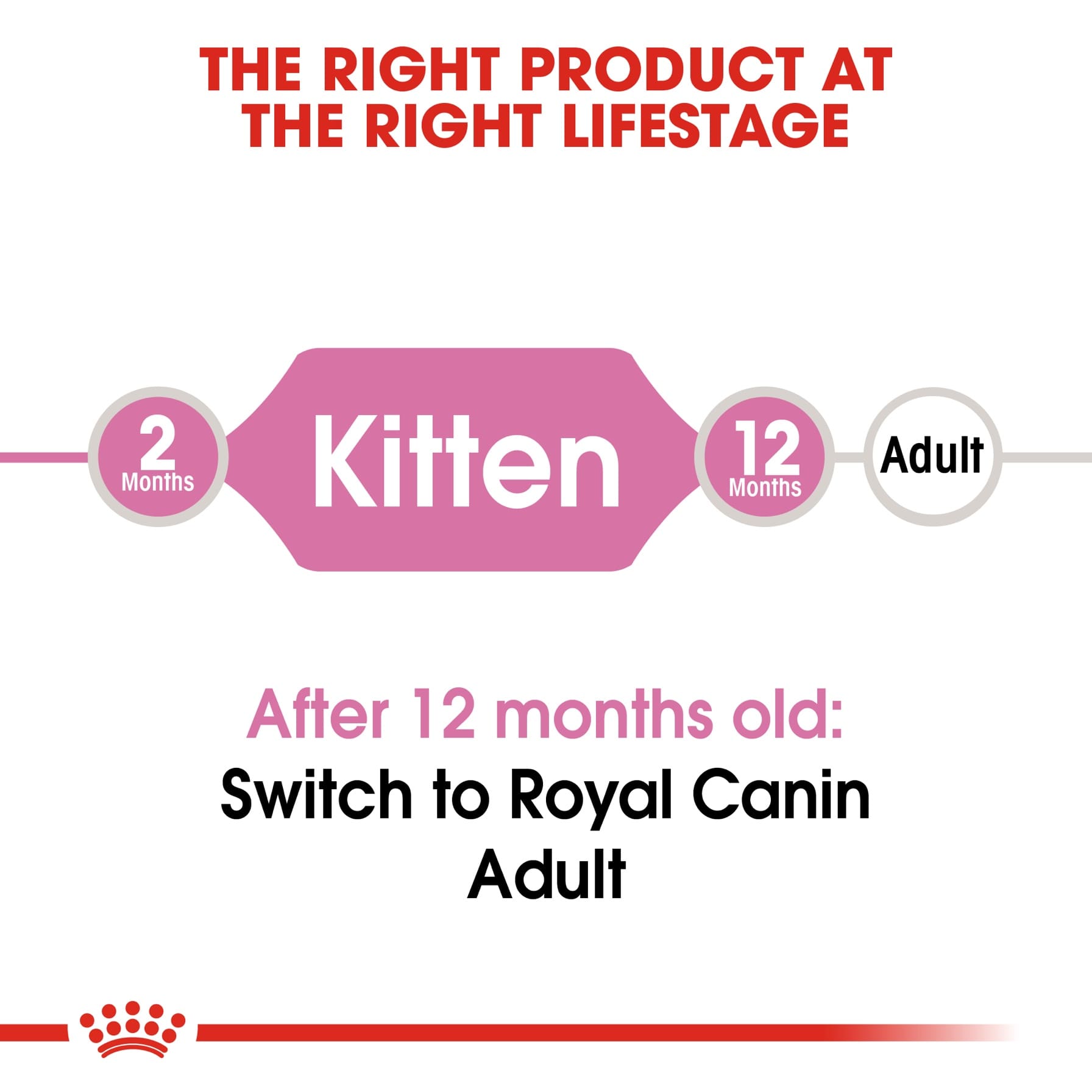 Royal Canin Feline Health Nutrition Cat Food (Kittens, 2 kg)