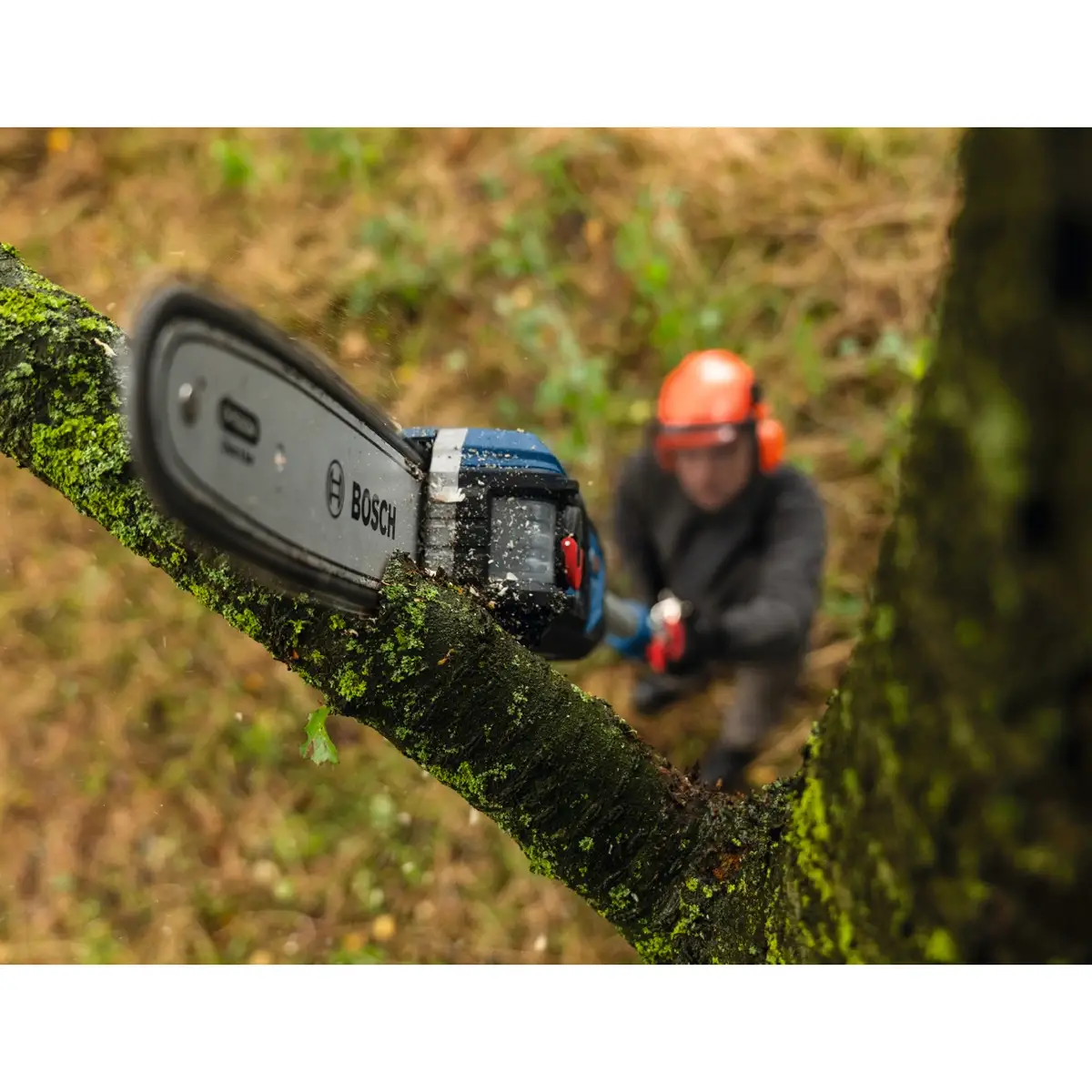 Bosch Professional Cordless Telescopic Pruner, GKE 18V-25 TP (18 V)