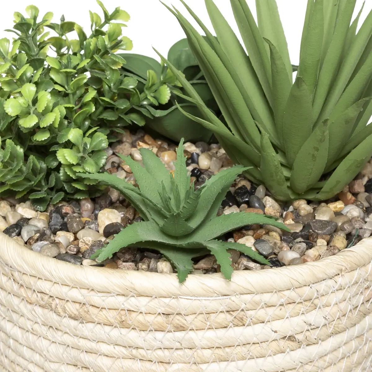 Atmosphera Hacienda Plant Arrangement with Natural Pot (D. 17 X H. 19 cm)