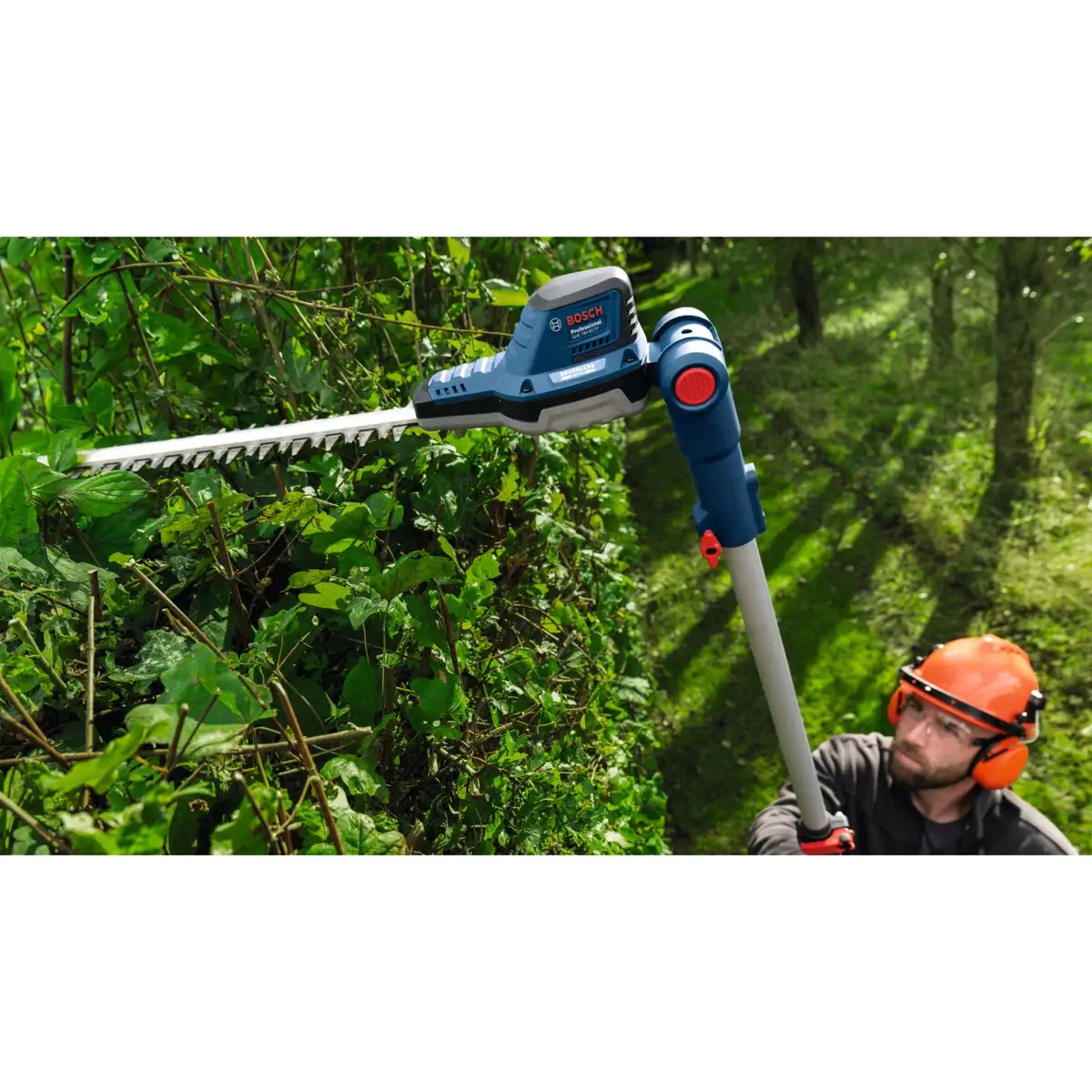 Bosch Professional Cordless Telescopic Hedgecutter, GHE 18V-50 TP (18 V)