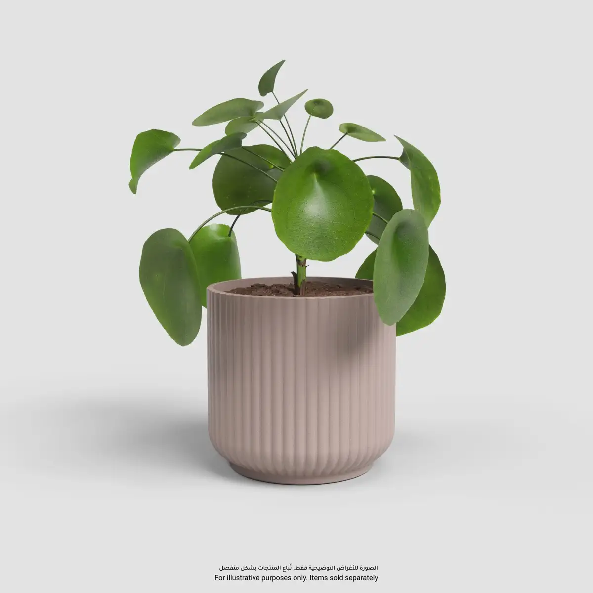 Artevasi Luna Plant Pot (Light Pink, 15 cm)