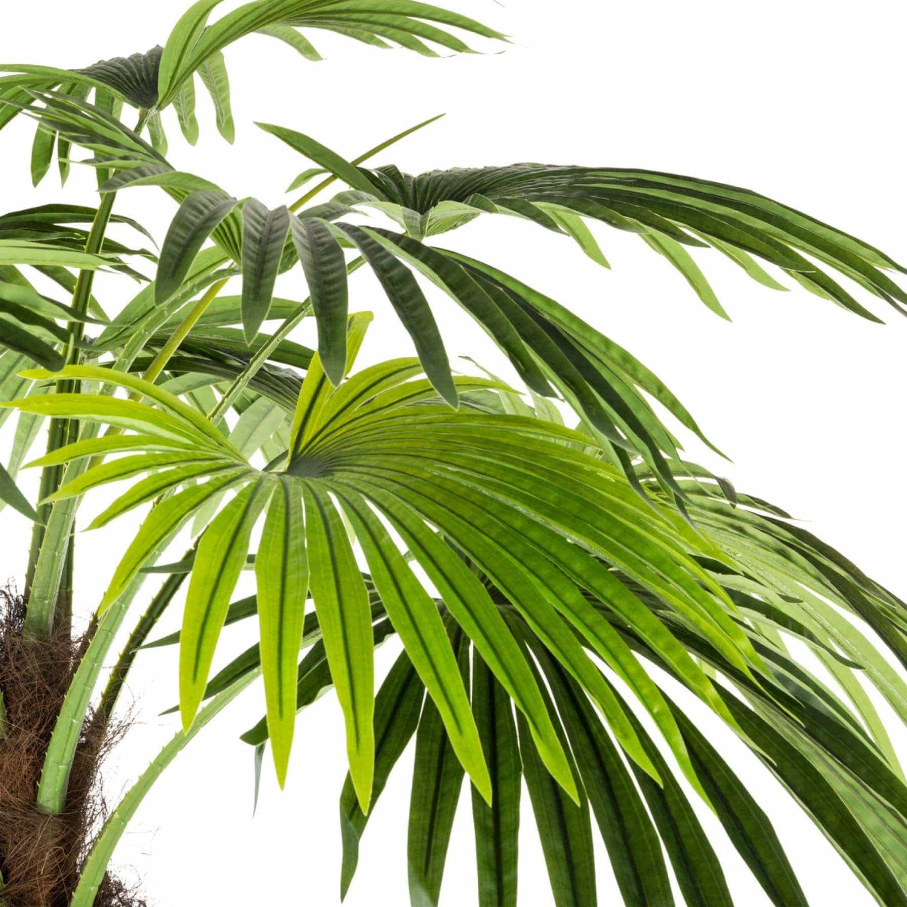 Atmosphera Artificial Palm Tree W/Pot (115 x 200 cm)