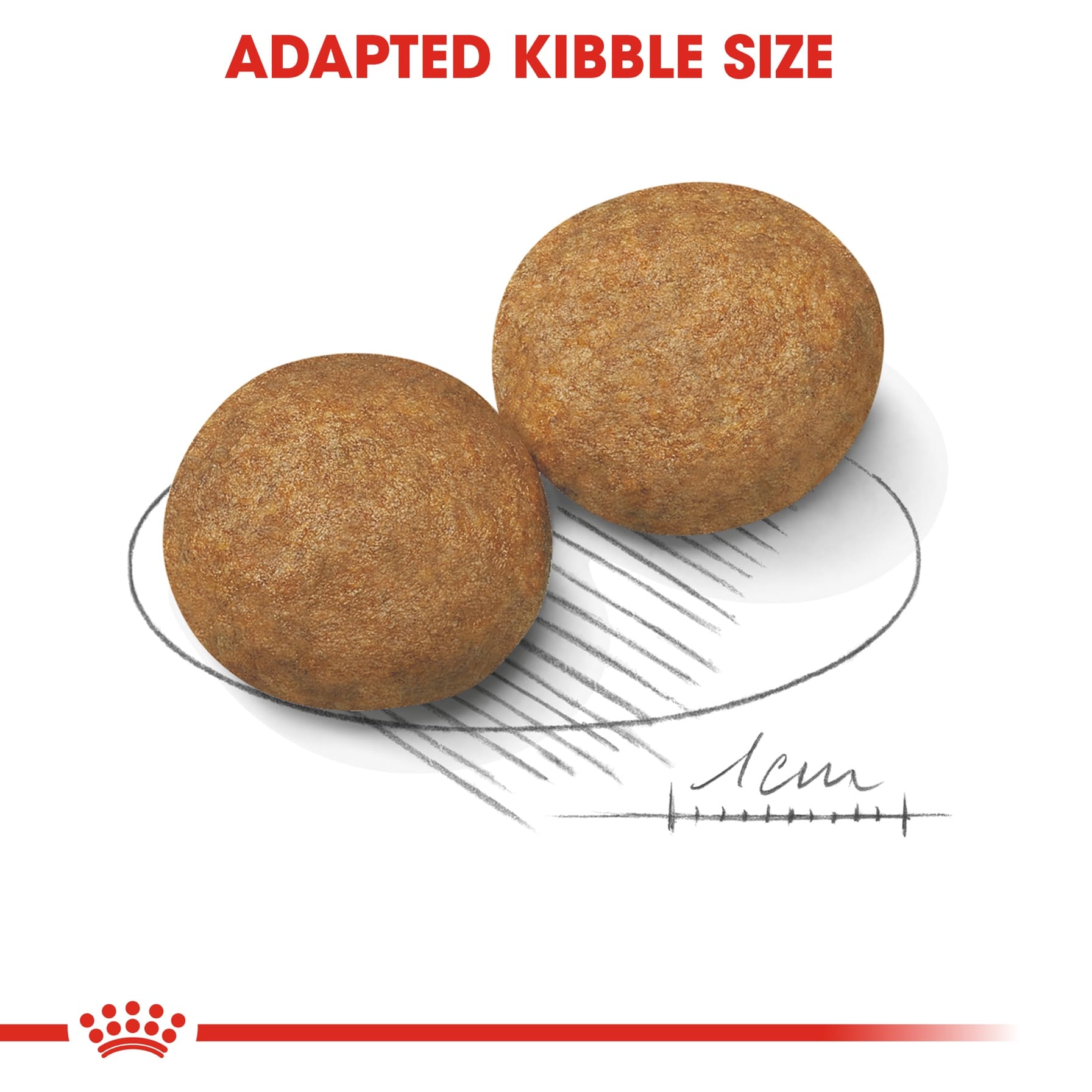 Royal Canin Medium Dog Food (4 kg)