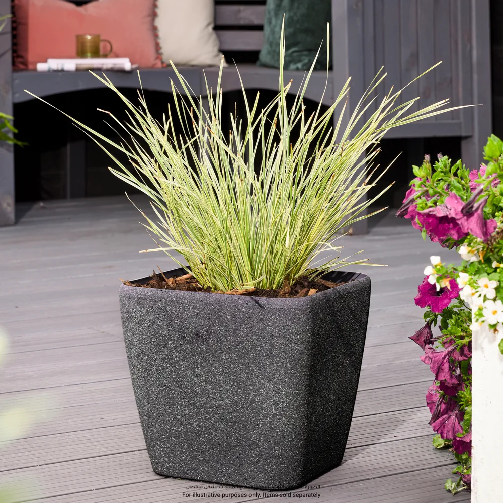 Verve Rough Square Plastic Pot (26 cm, Grey)