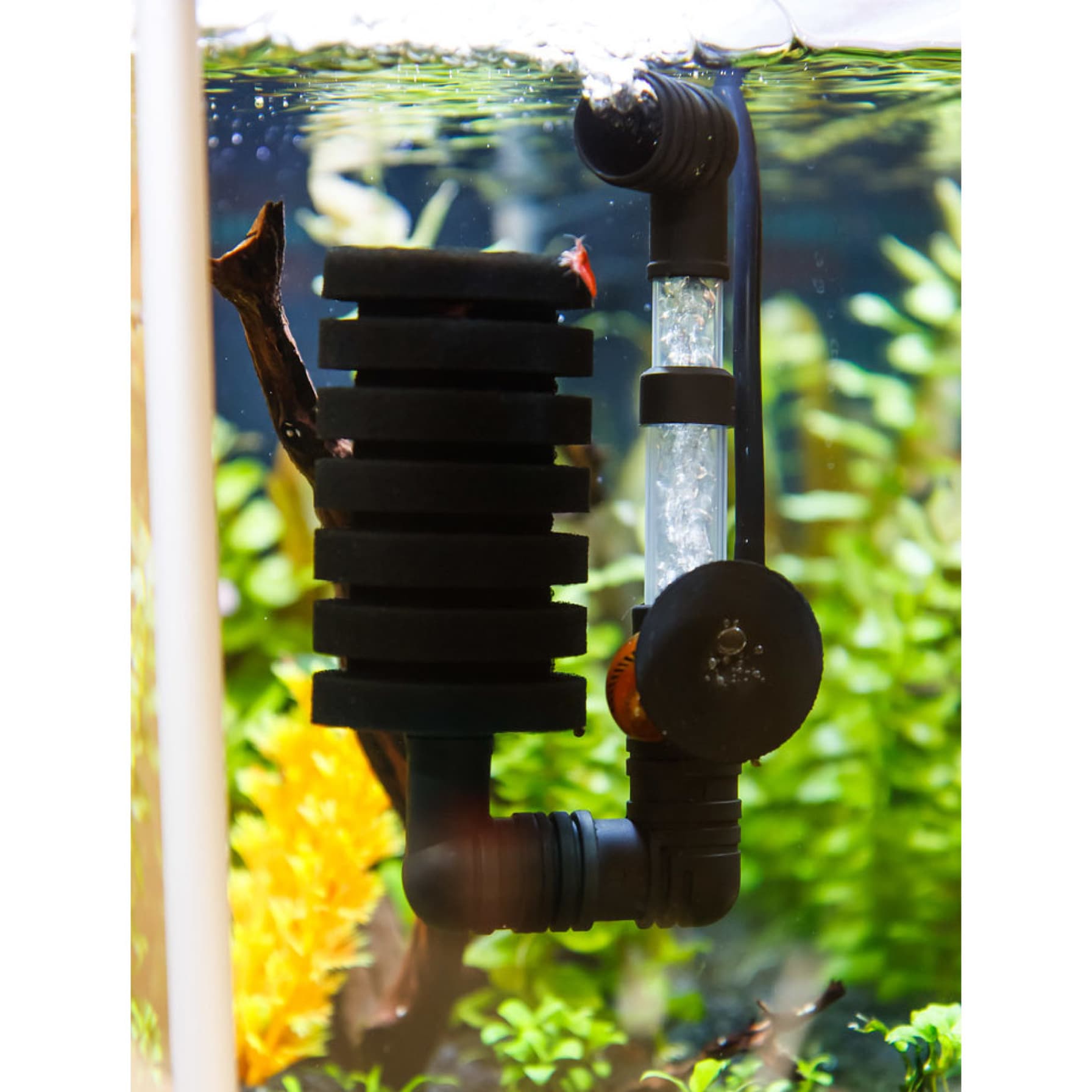 Ista Bio Sponge Filter (Small)