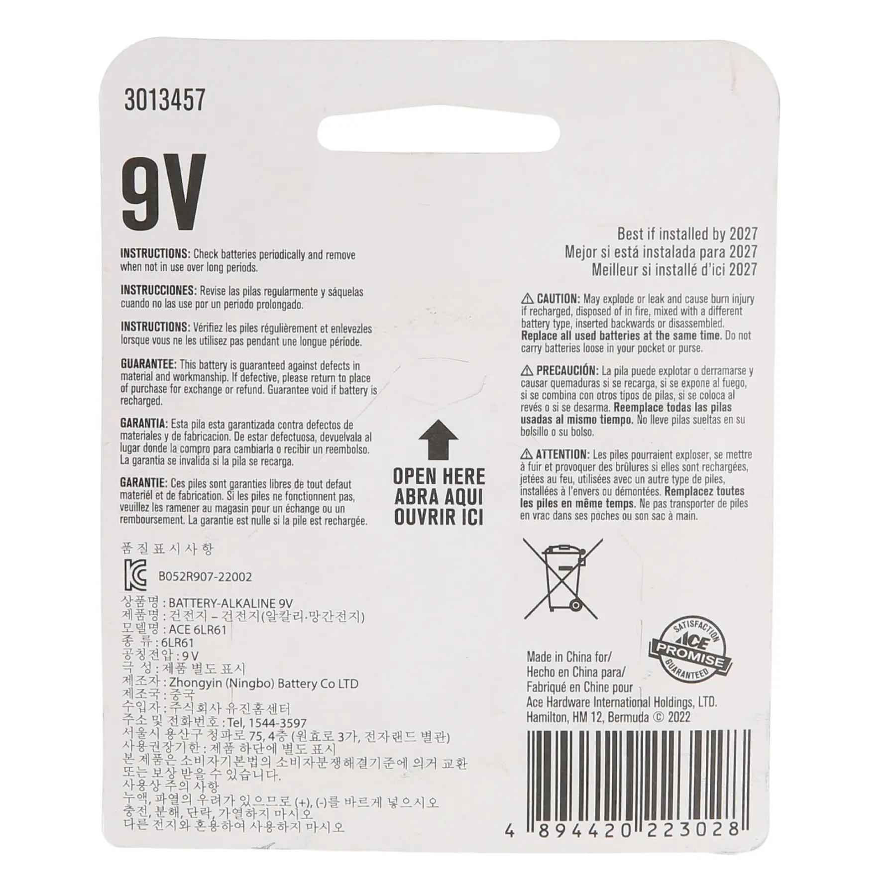 ACE Alkaline Battery (9 V)