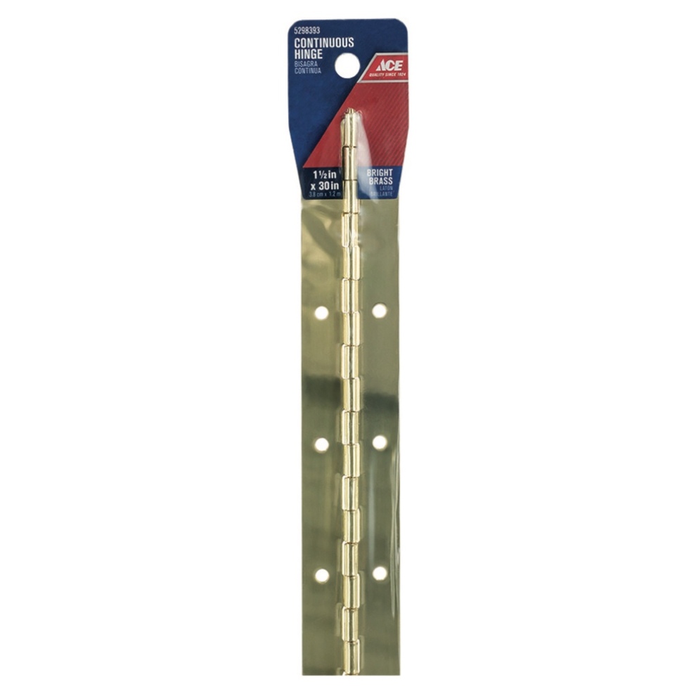 Ace Steel Continuous Hinge (3 x 76 cm)