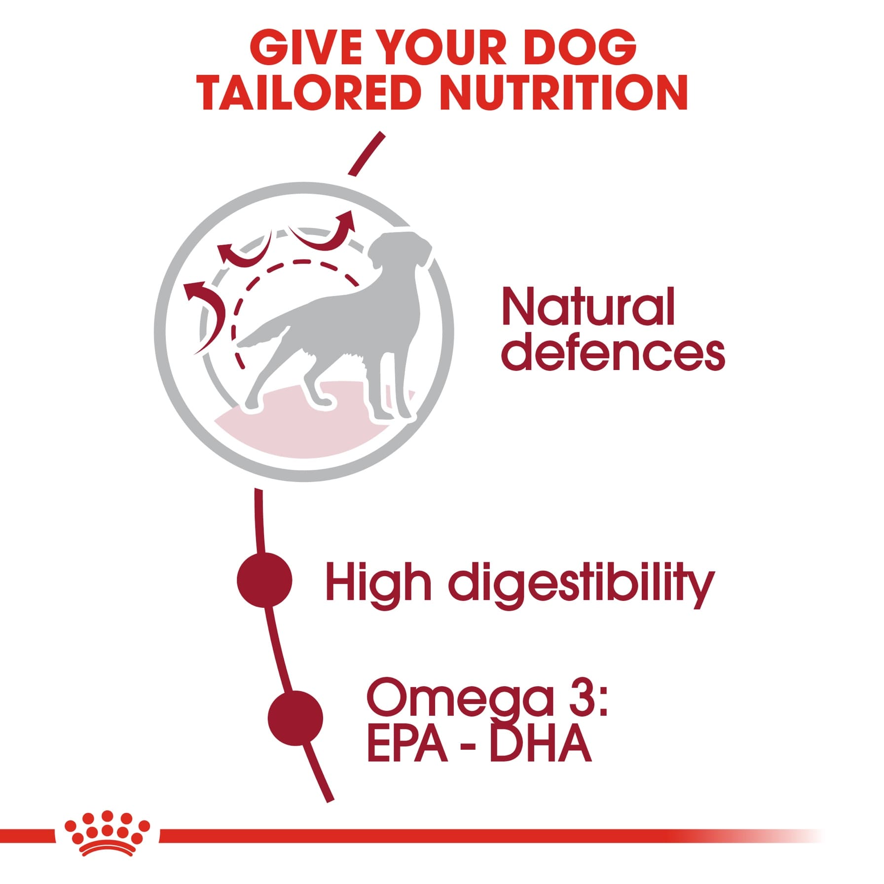 Royal Canin Medium Adult Dog Food (15 kg)