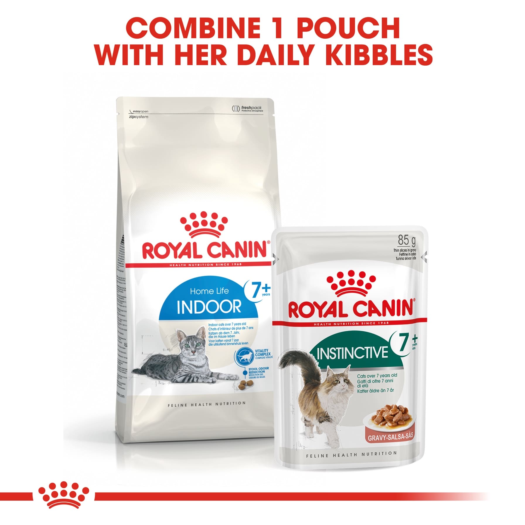 Royal Canin Feline Health Nutrition Indoor Dry Cat Food (Adult Cats, 3.5 kg)