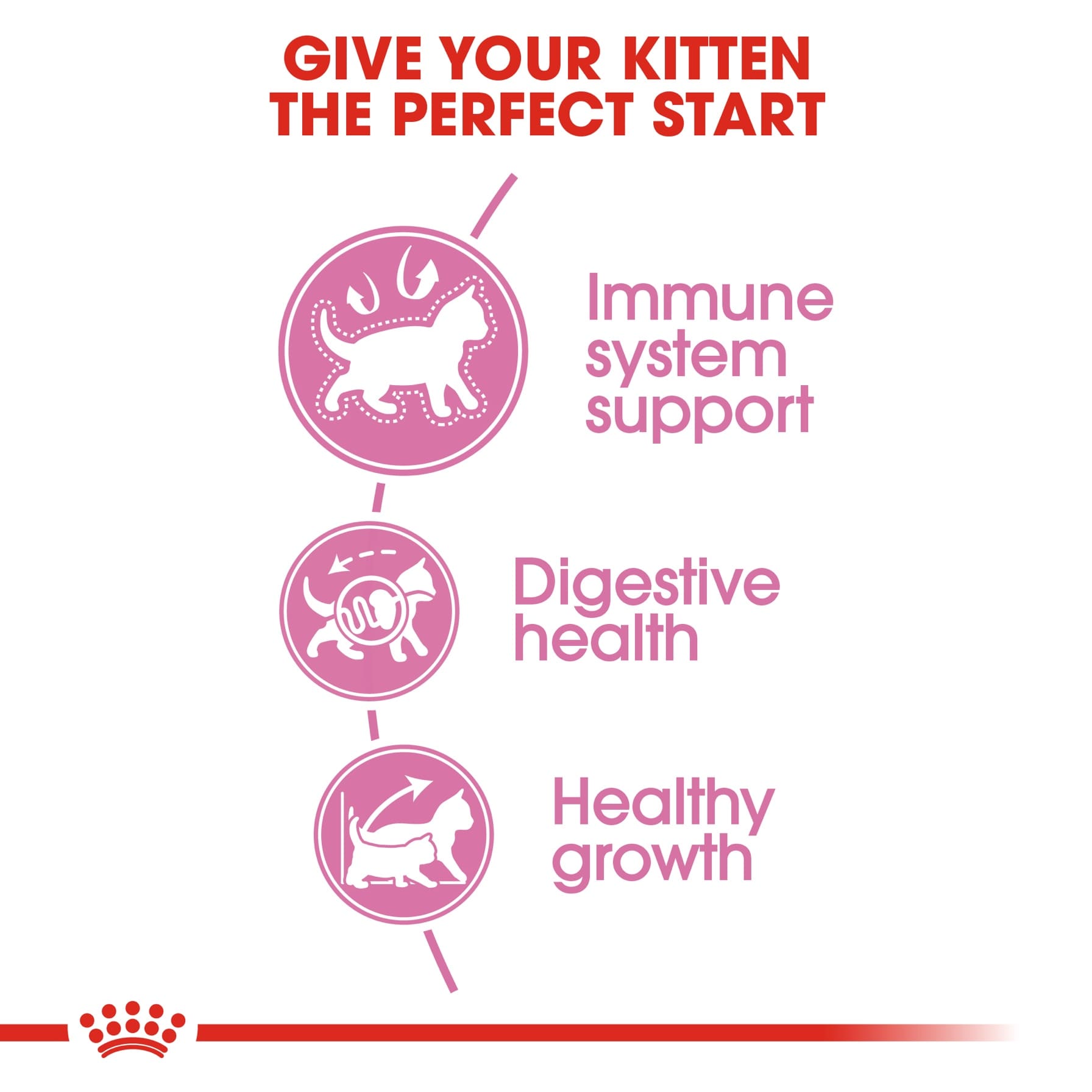Royal Canin Feline Health Nutrition 36 Kitten Food (400 g)