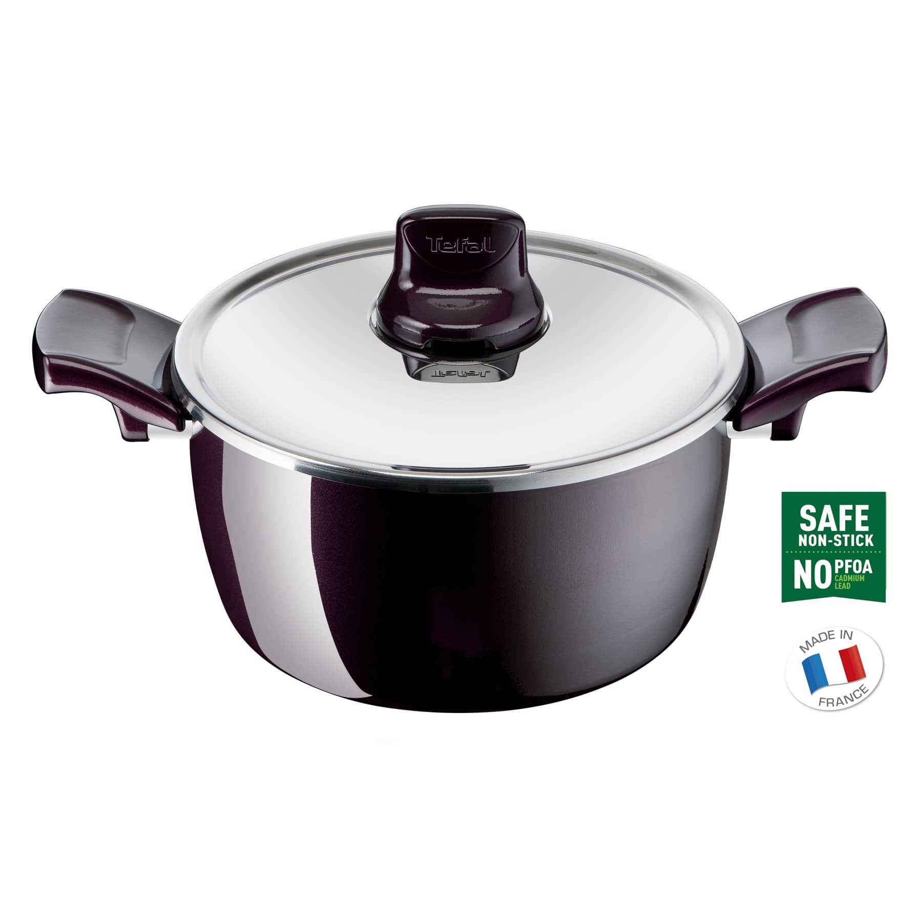 Tefal G6 Resist Intense Steel Stew Pot W/Lid (22 cm)