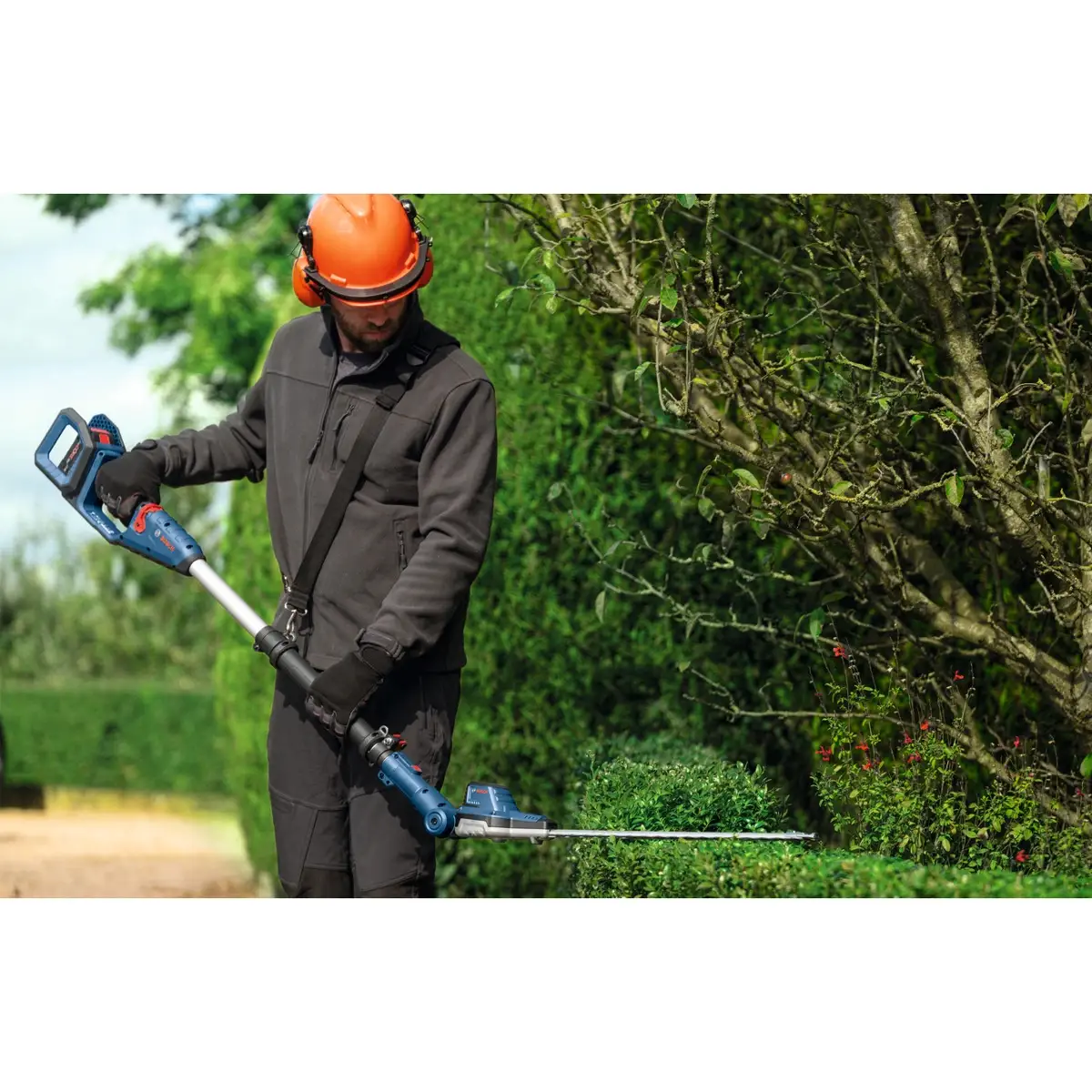 Bosch Professional Cordless Telescopic Hedgecutter, GHE 18V-50 TP (18 V)