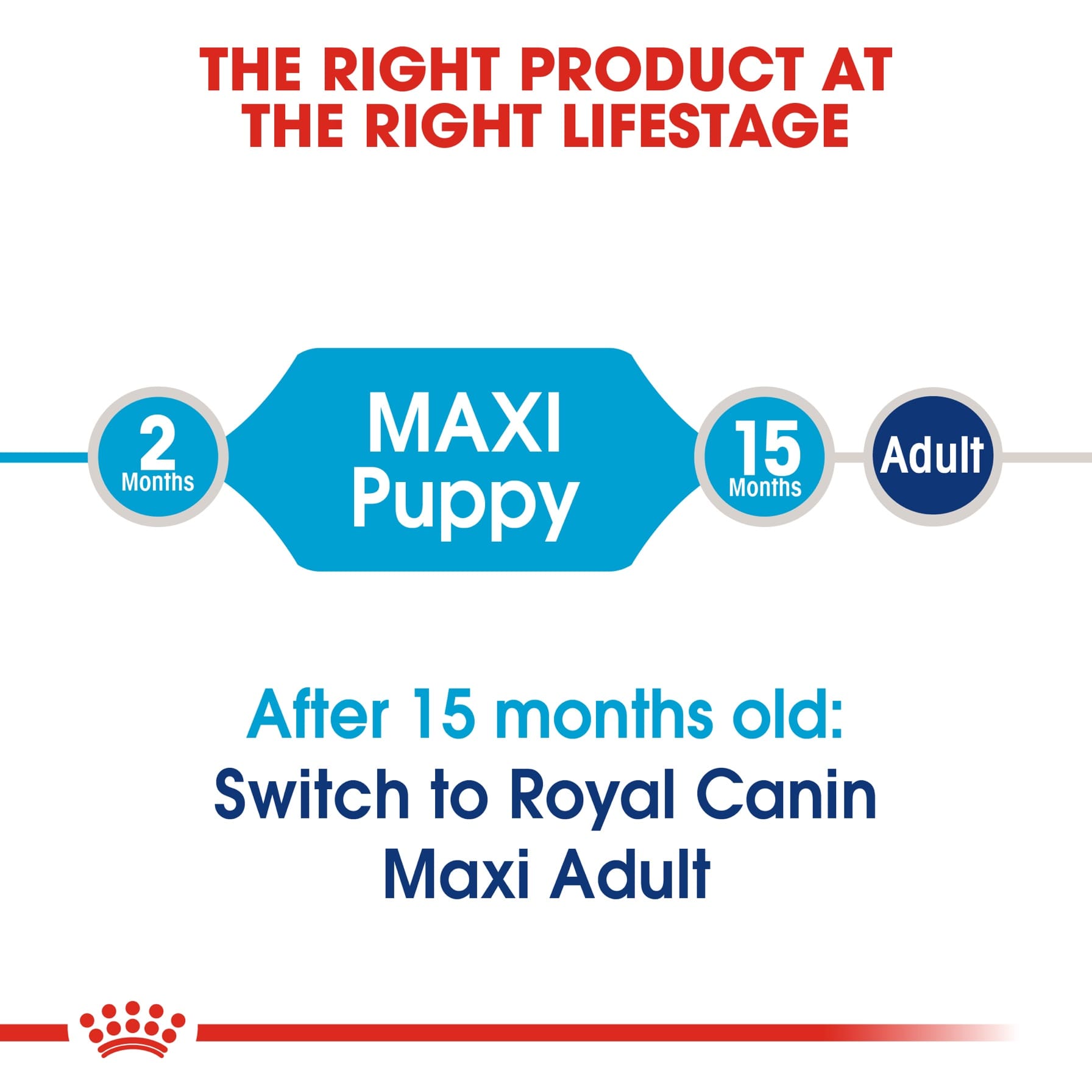 Royal Canin Maxi Junior Dog Food (10 kg)