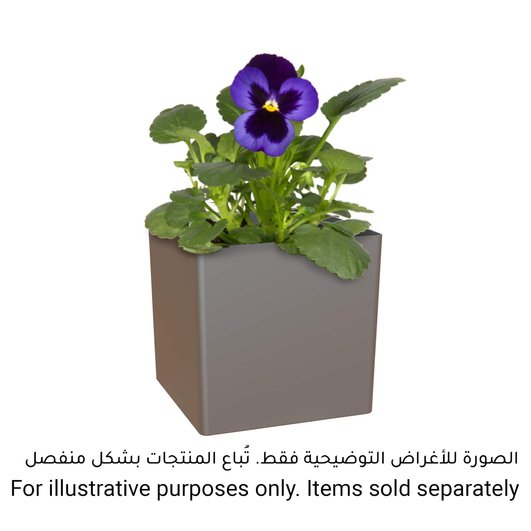 Artevasi Oslo Plant Pot (22 cm)