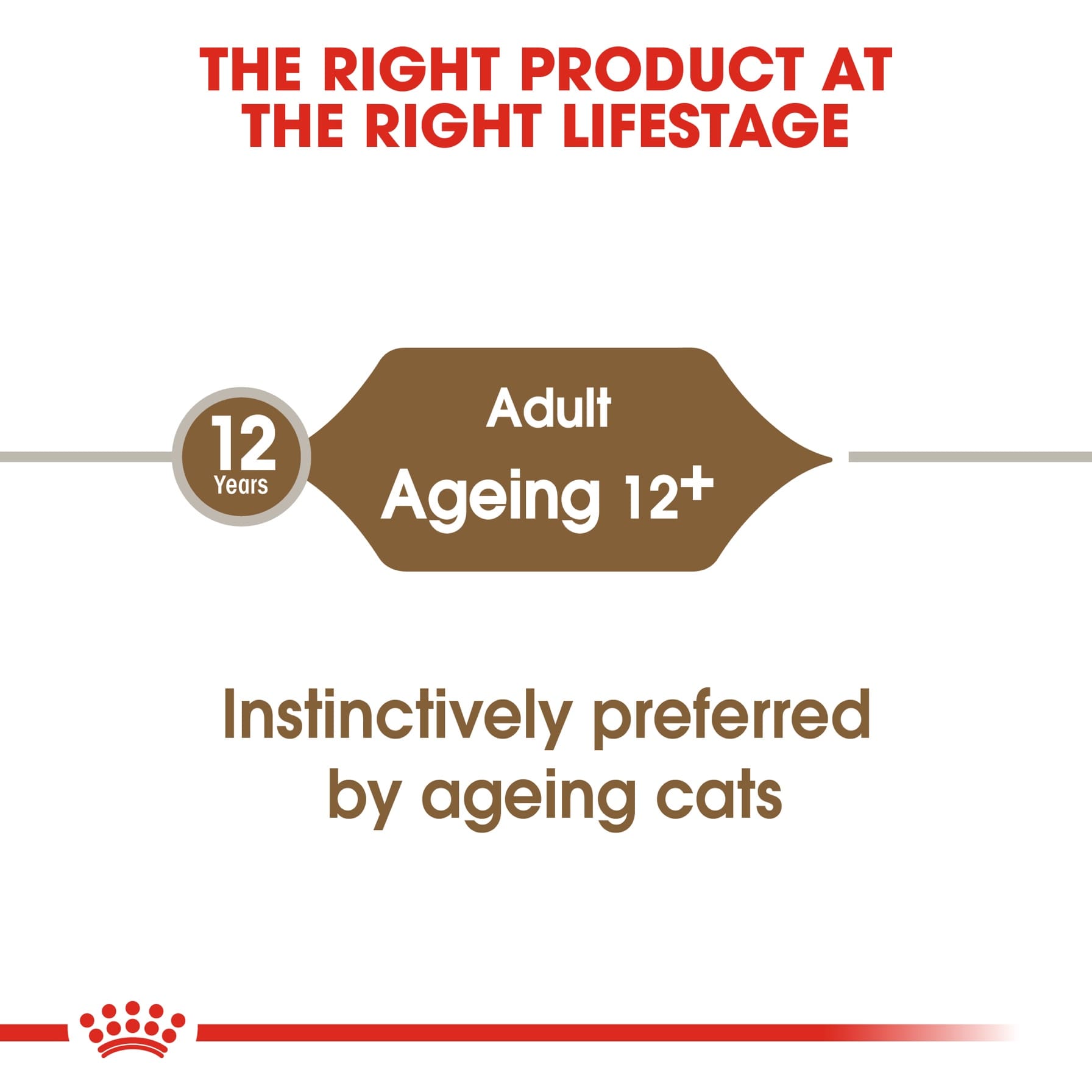 Royal Canin Feline Health Nutrition Ageing +12 Wet Cat Food (Chunks in Gravy, Adult Cats, 85 g)
