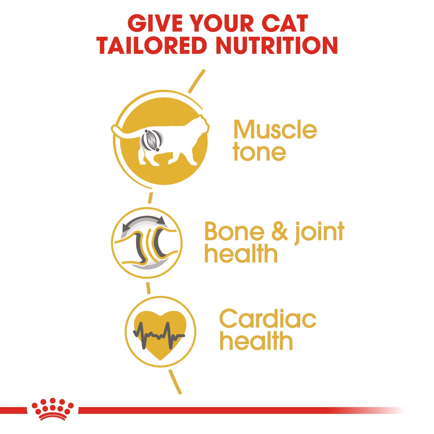 Royal Canin Feline Breed Nutrition British Shorthair Cat Food (4 kg)