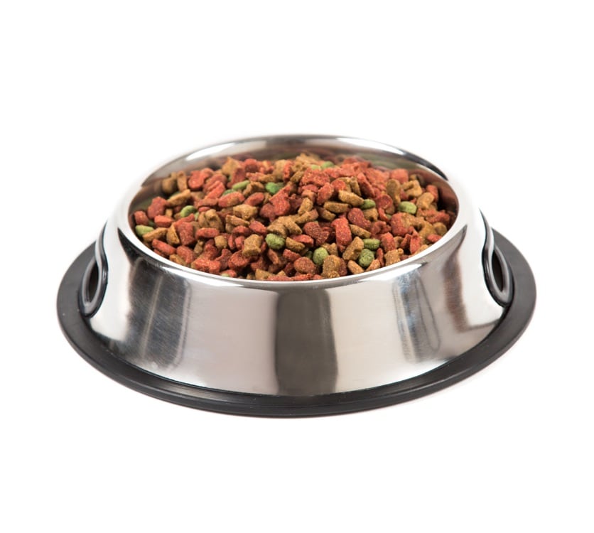 Hilo Non-Skid Pet Dish (946 ml)