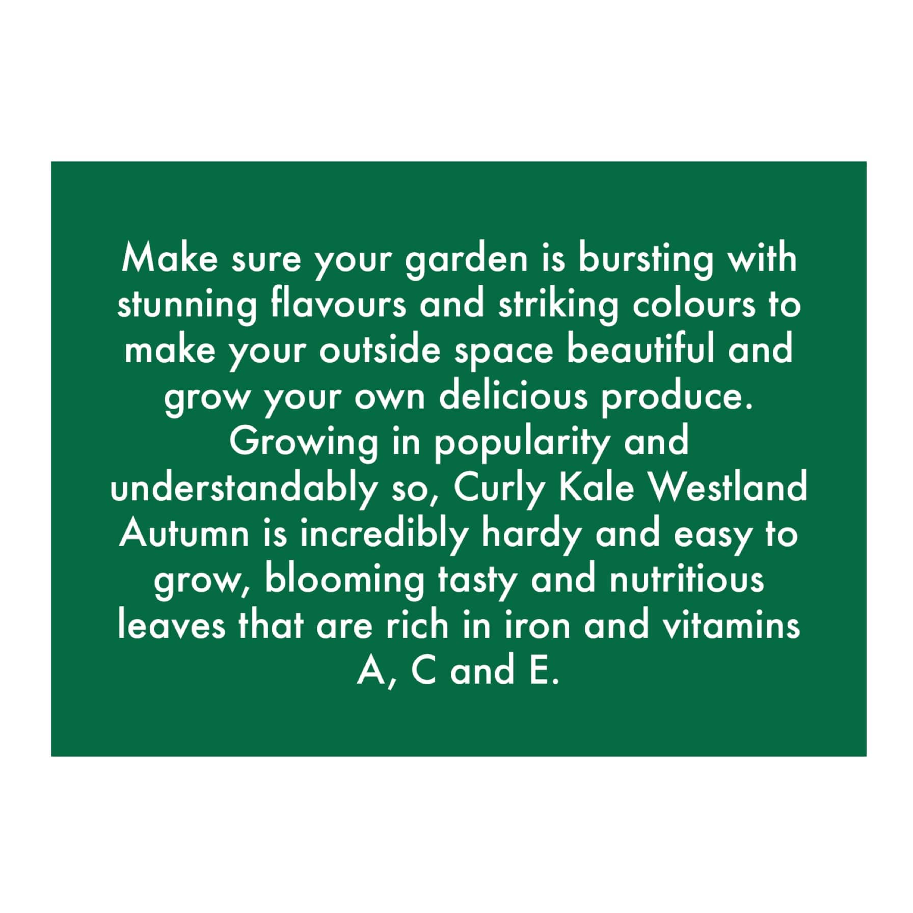 De Ree Curly Kale Westland Autumn Seeds