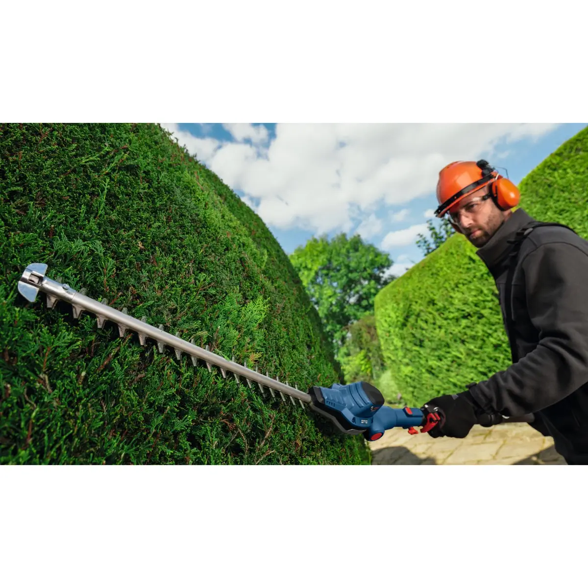 Bosch Professional Cordless Telescopic Hedgecutter, GHE 18V-50 TP (18 V)