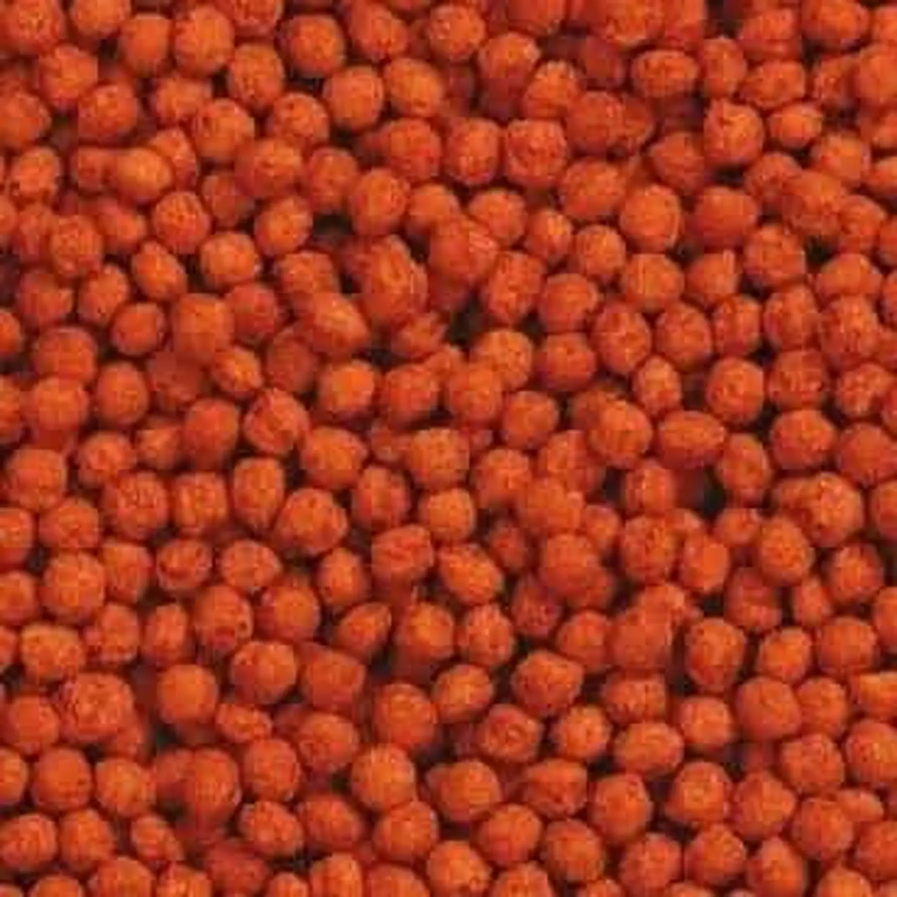 Tetra TetraLuoHan Large Fish Pellets (1 L)