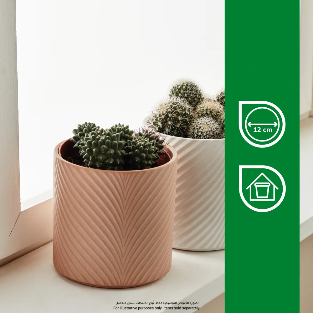 Verve Wave Pattern Ceramic Pot (13 cm, Pink)