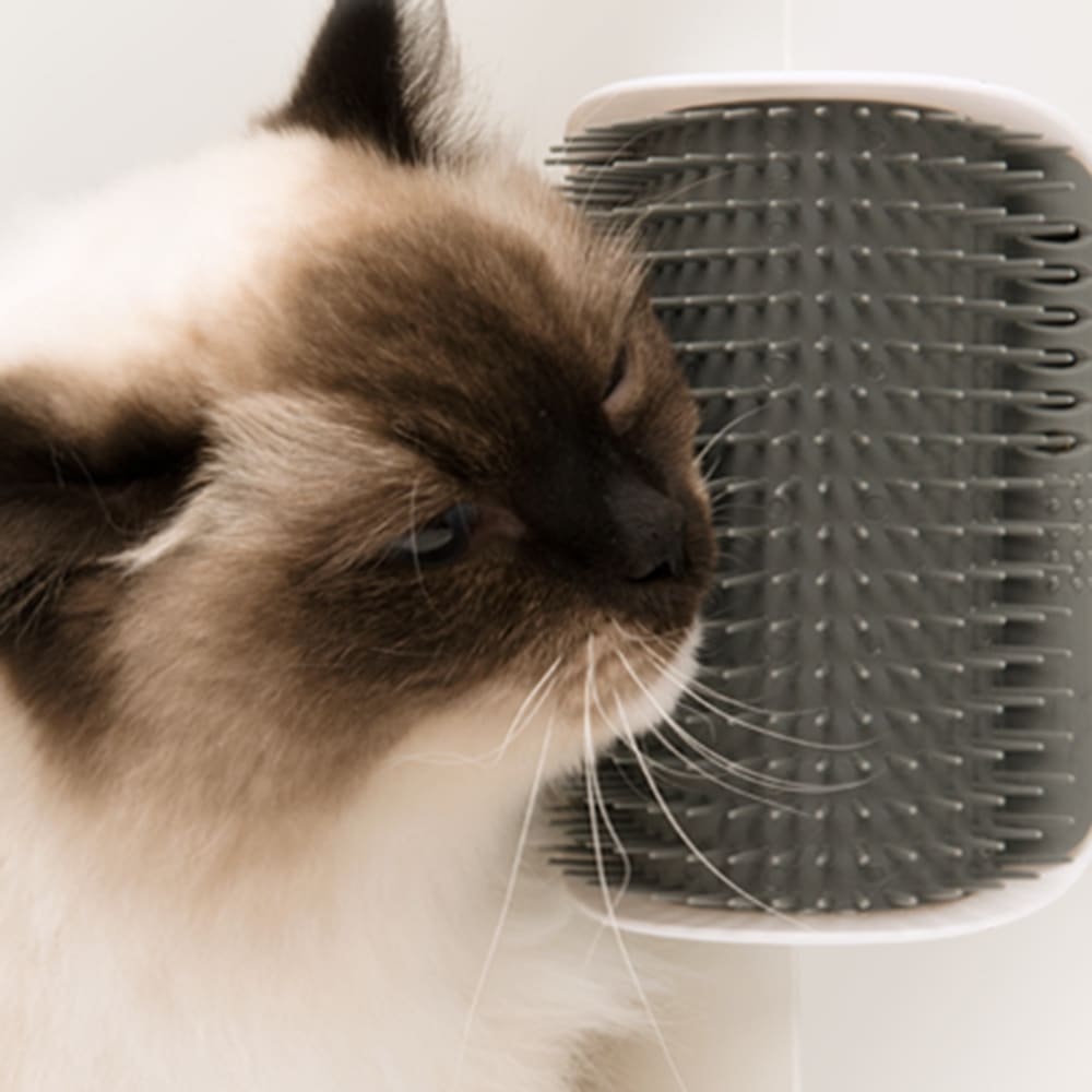 Hagen Catit Senses 2.0 Self Groomer