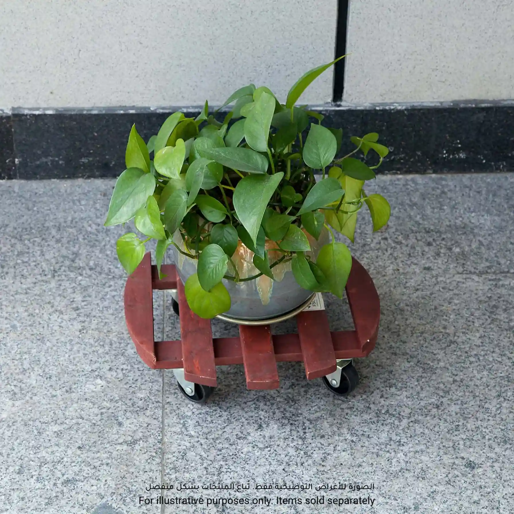 Diall Wooden Plant Pot Mover (150 kg)