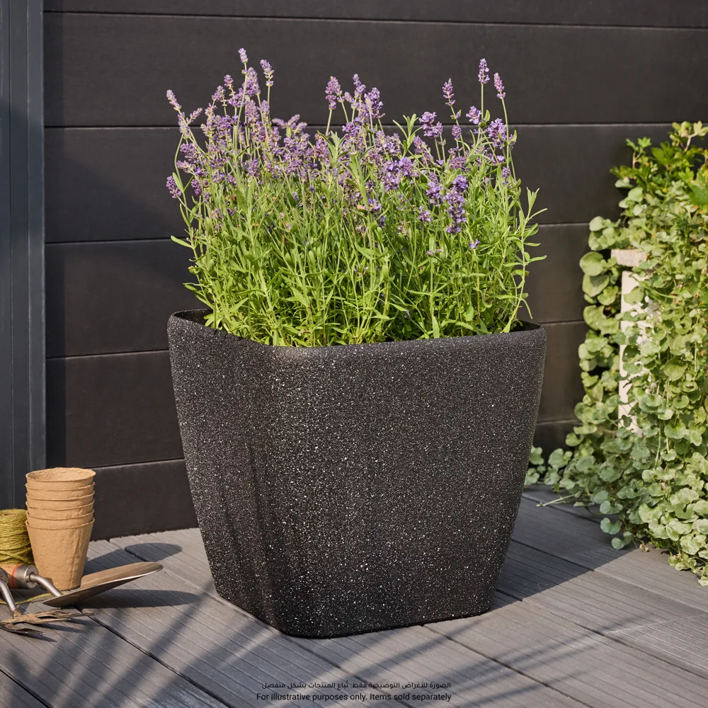 Verve Rough Square Plastic Pot (33 cm, Grey)