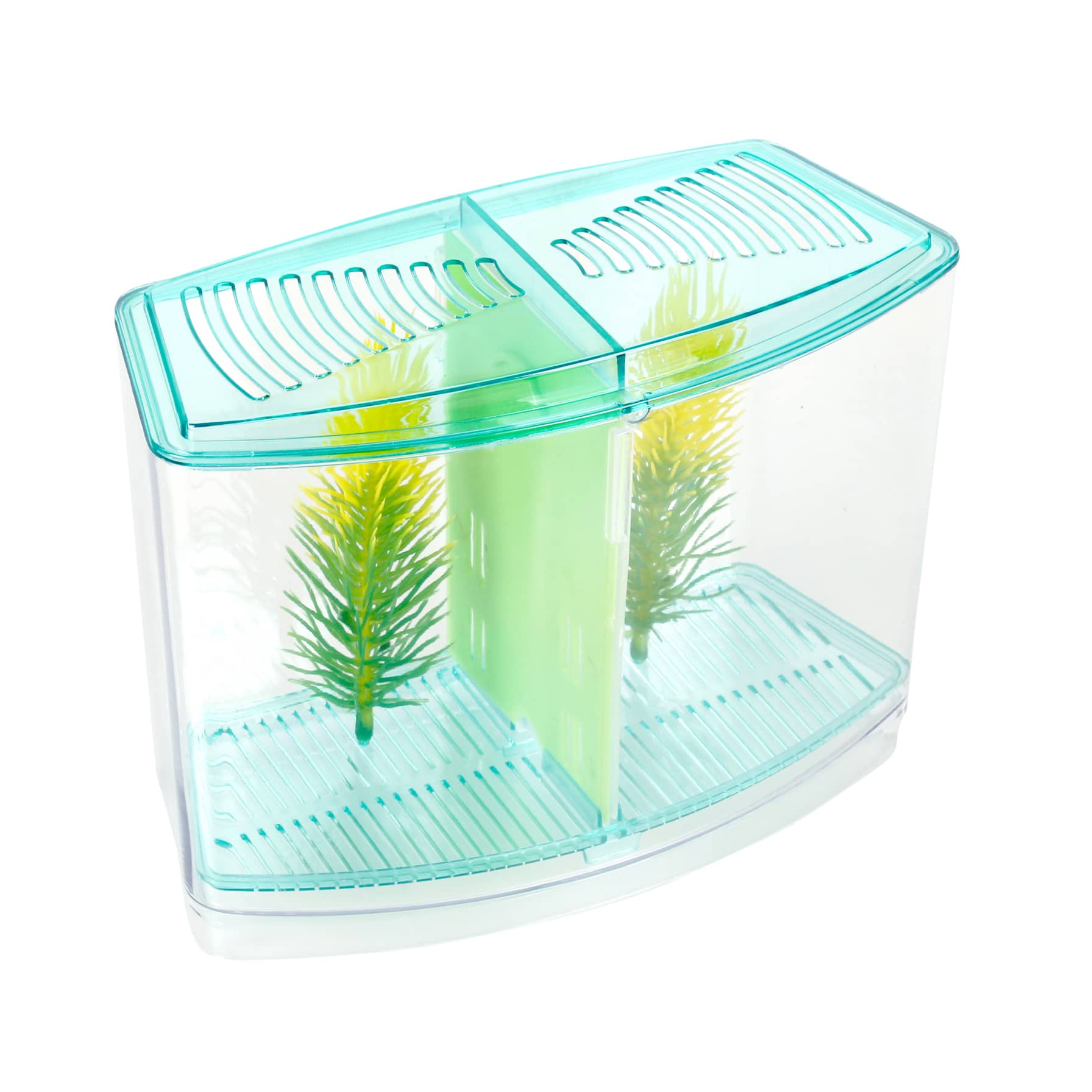 Chicos Betta Case 