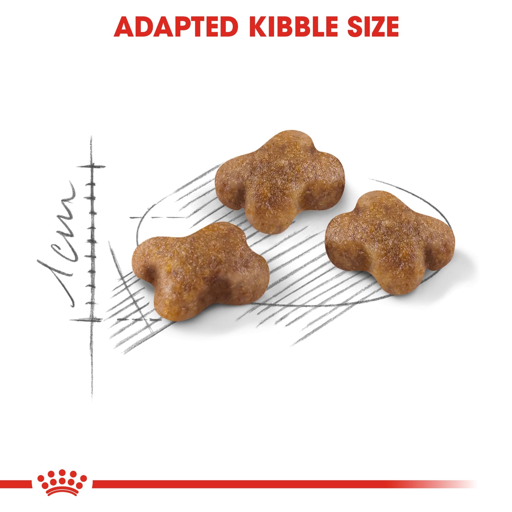 Royal Canin Feline Health Nutrition 36 Kitten Food (400 g)