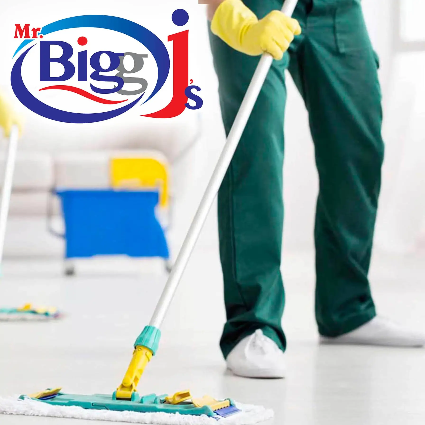 Mr. Bigg J's All Purpose Cleaner (5 L, Lemon)