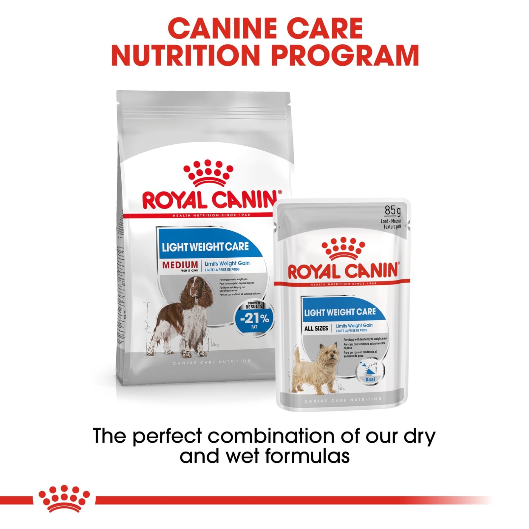 Royal Canin Light Weight Care Dry Dog Food (Medium Dog, 3 kg)