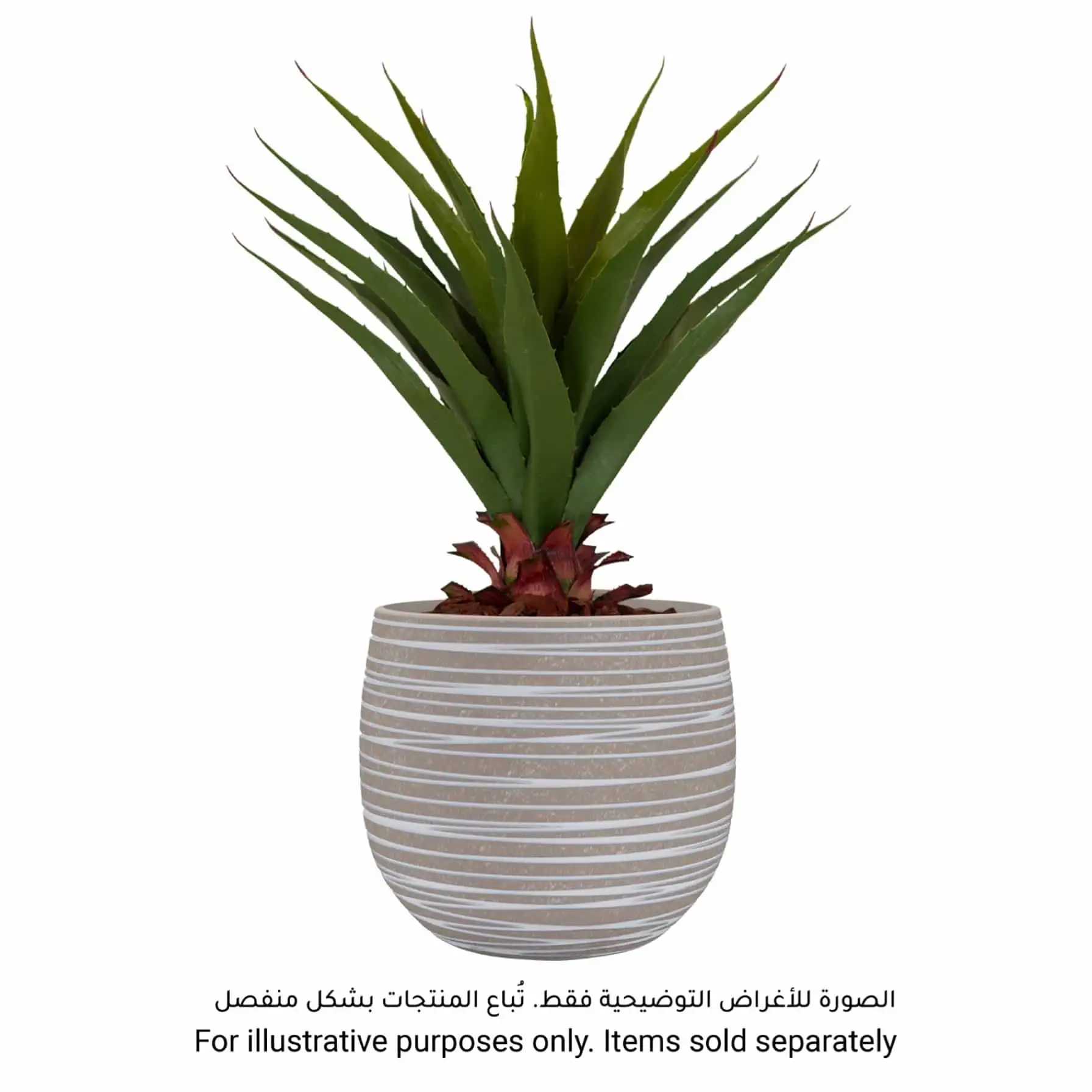 Artevasi Doris Ceramic Pot (25 cm, Cream)
