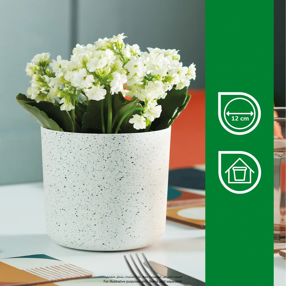 Verve Cylinder Plastic Pot (13 cm, White)