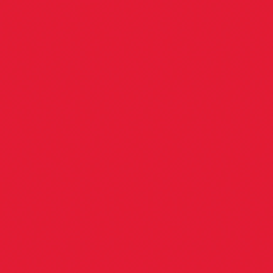 Ace Premium Gloss Banner Red Paint & Primer Enamel Spray (340 g)