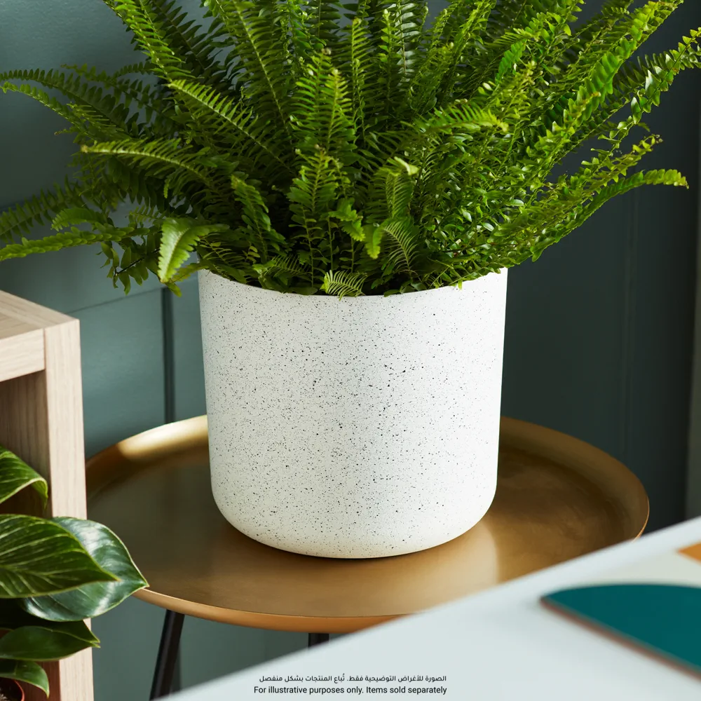 Verve Cylinder Plastic Pot (25 cm, White)