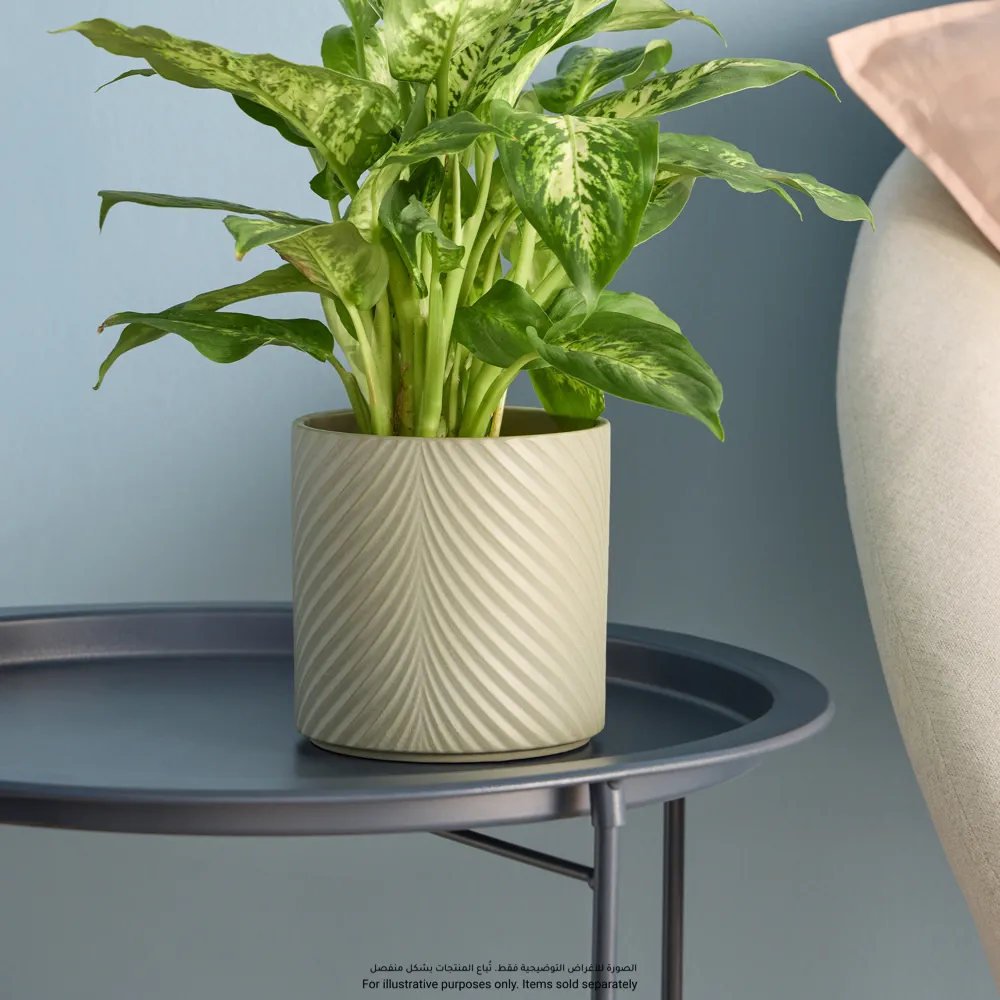 Verve Wave Pattern Ceramic Pot (13 cm, Green)
