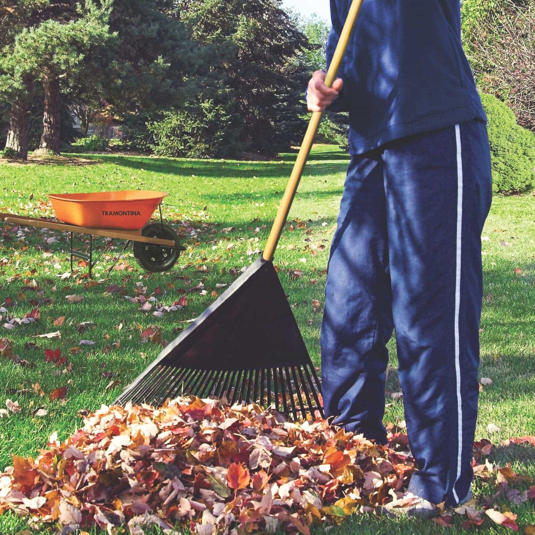 Tramontina Plastic Leaf Rake W/26 Teeth & Handle (120 cm)