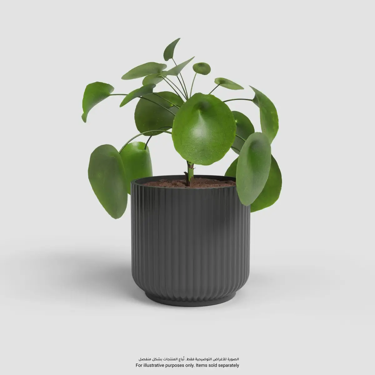 Artevasi Luna Plant Pot (Anthracite, 19 cm)