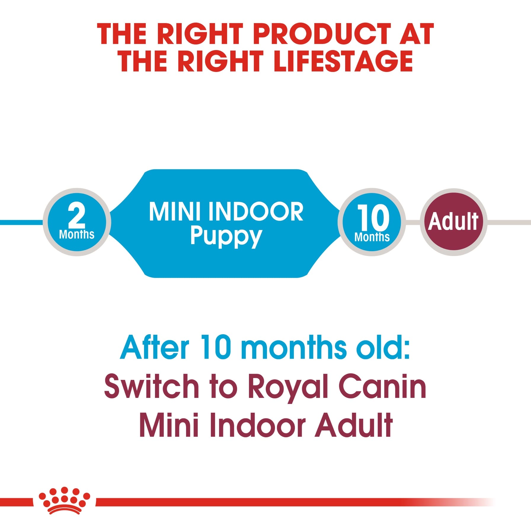 Royal Canin Mini Indoor Junior Dry Dog Food (Small Puppy, 1.5 kg)