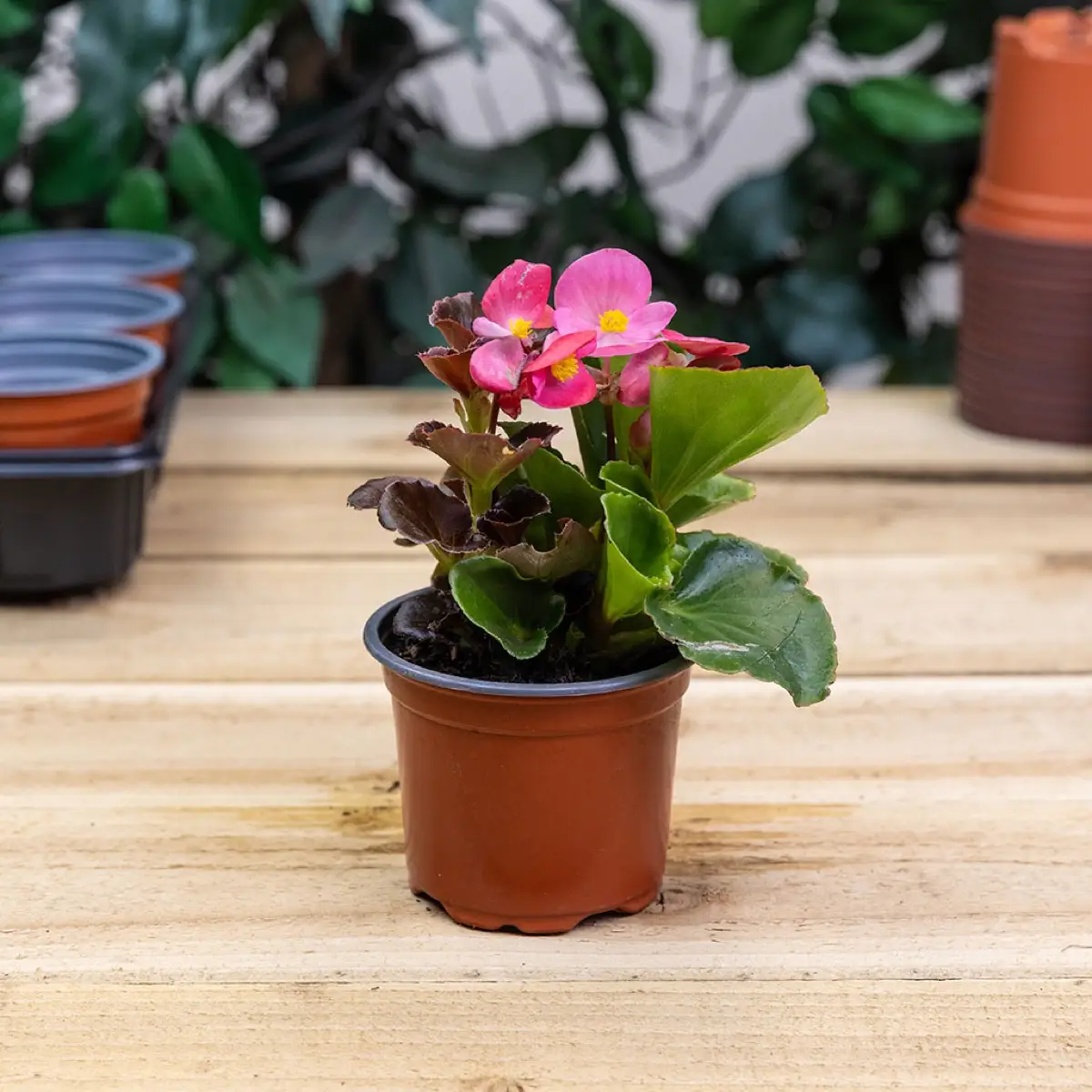 Tildenet Growers Choice Replacement Seed & Cutting Pots (9 cm, 18 Pc.)