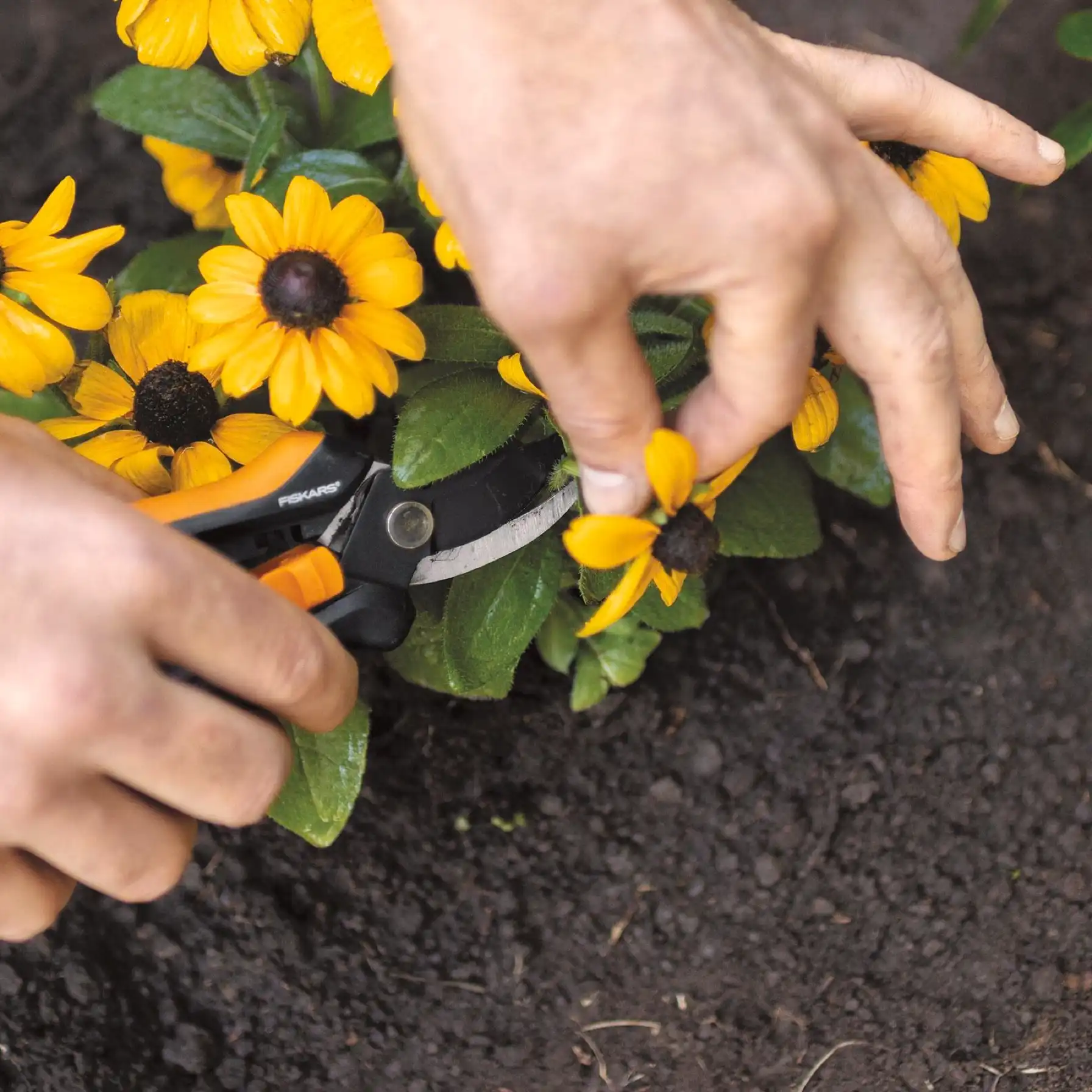 Fiskars Floral Pruner