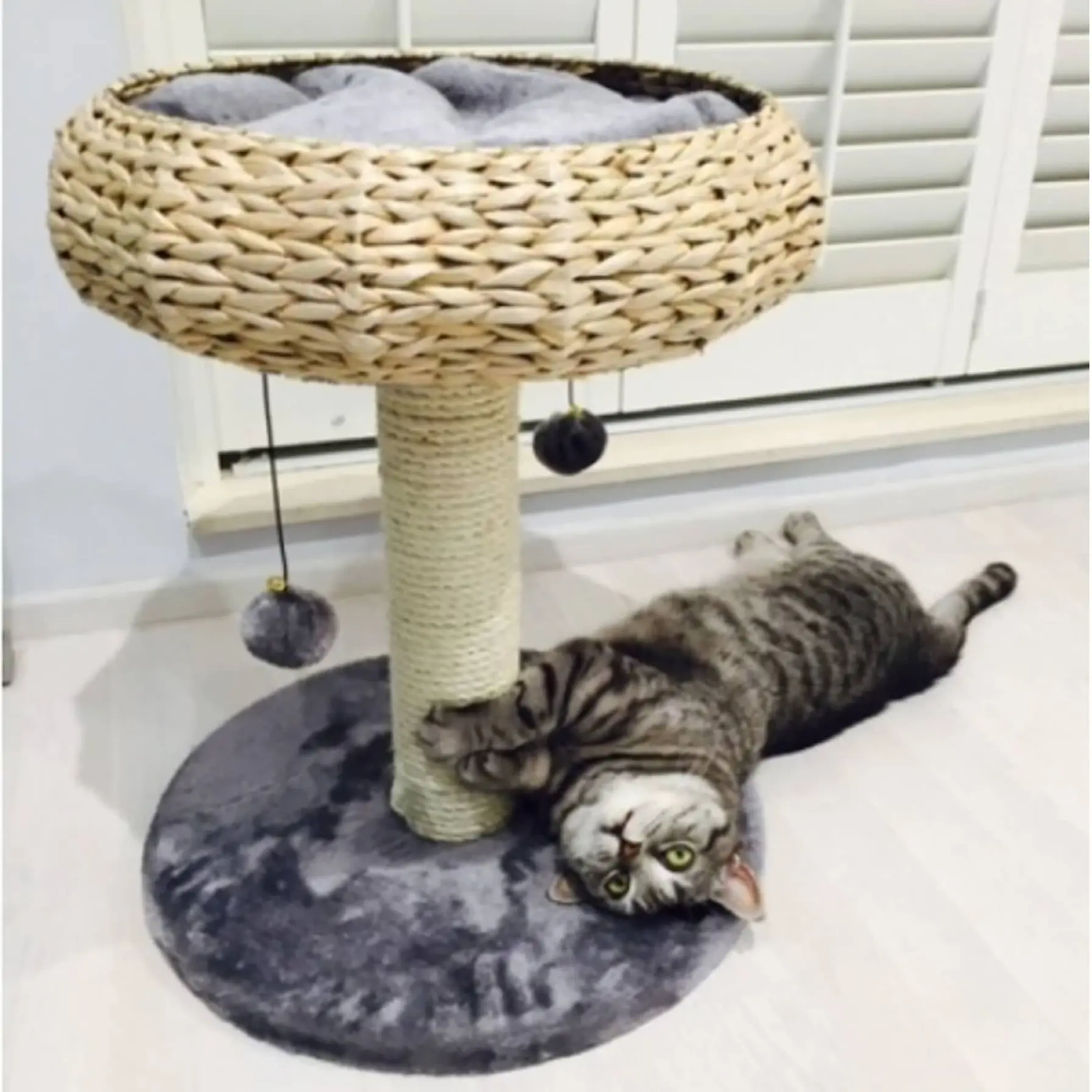 Paola Cat Playground (45 x 45 x 55 cm)