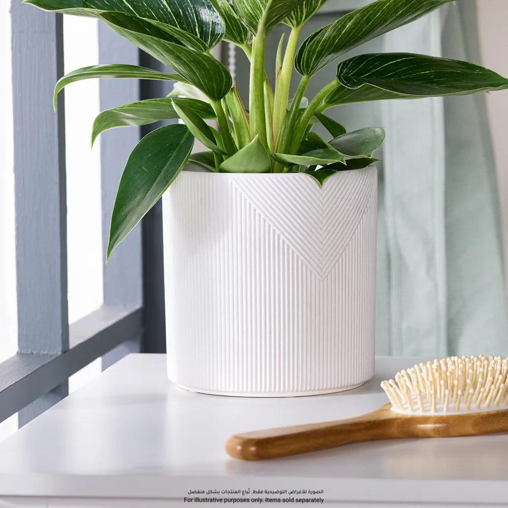Verve Cylinder Geometric Ceramic Pot (14 cm, White)